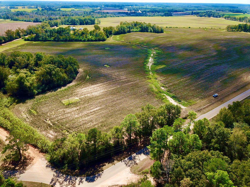 92 County Road 92 Slocomb, AL 36375 - Photo 20 of 32