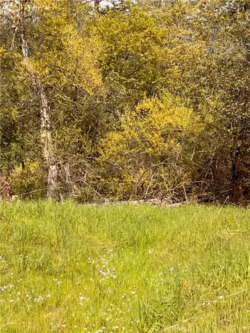 a view of an ocean from a yard
