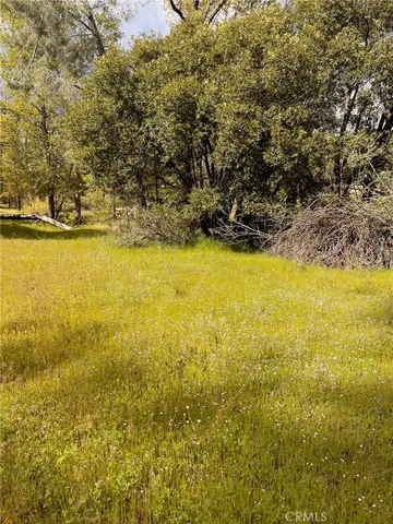 a view of a swimming pool and an outdoor space