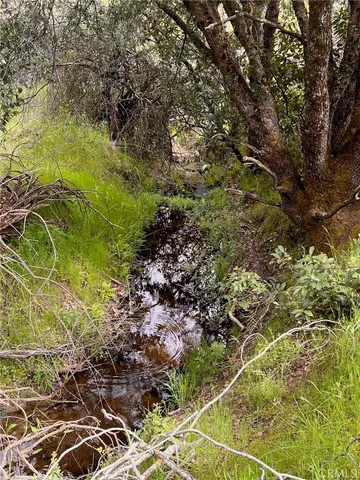 a view of a swimming pool with an outdoor space