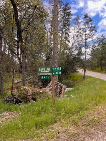 a view of a yard with a tree
