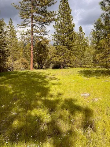 an aerial view of residential house with parking and trees