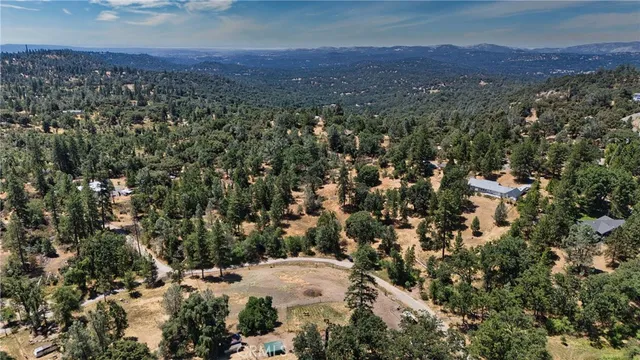 a view of a forest with a house