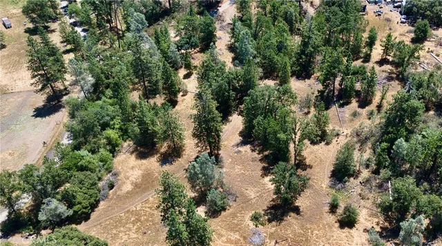 a view of a yard with an outdoor space