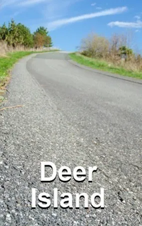 a view of an outdoor space with garden