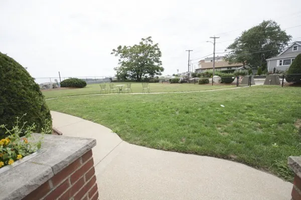 a view of a park with large trees