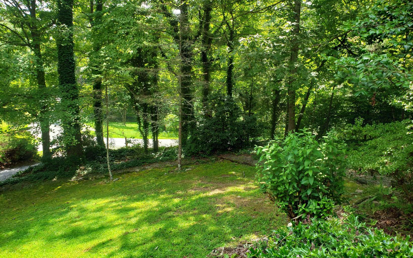 492 West Cherry Road Hayesville, NC 28904 - Photo 11 of 34 Additional View