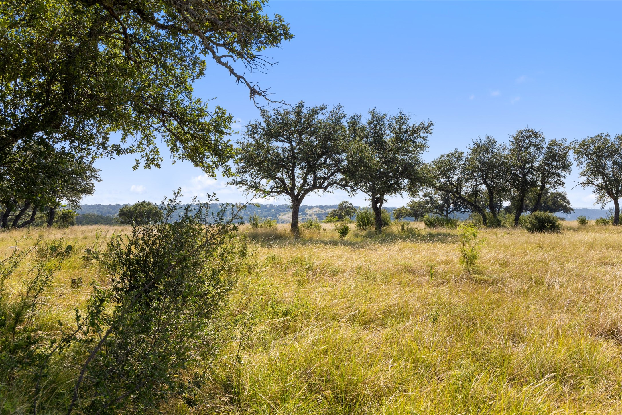2915 Spring Crossing Junction, TX 76849 - Photo 18 of 31 Rolling hills and natural meadows define this peaceful landscape, offering a serene backdrop for any home.