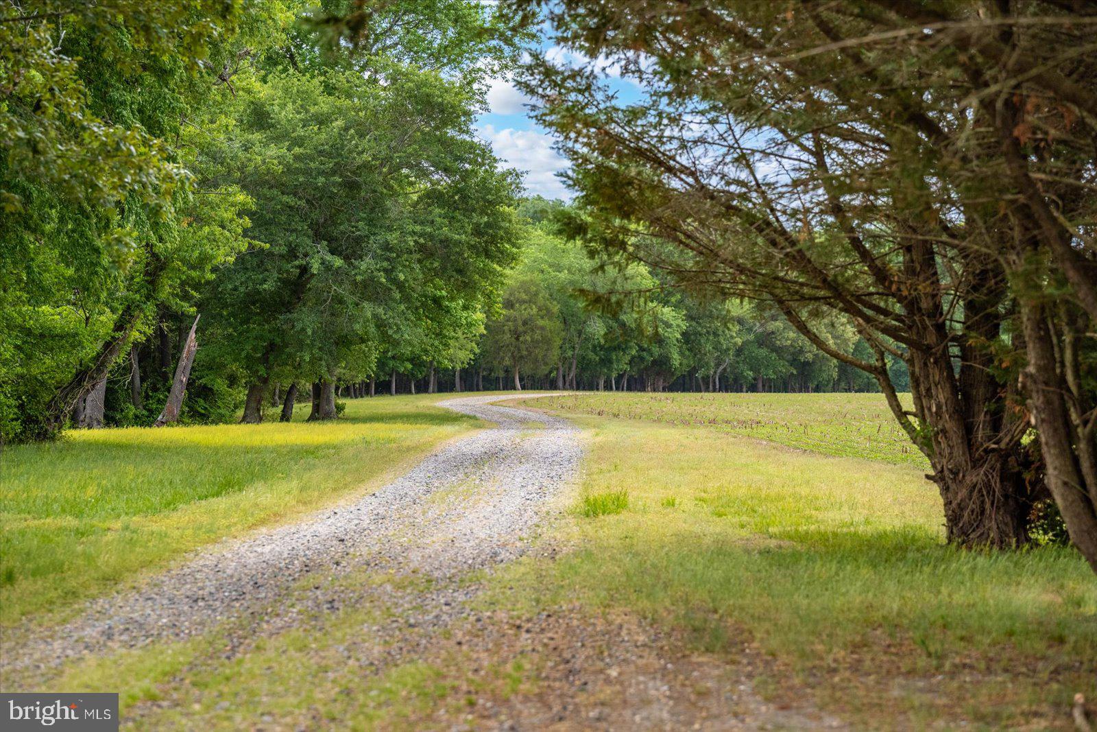 5113 River Road Hurlock, MD 21643 - Photo 4 of 54