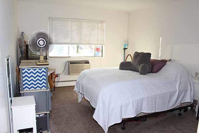 904 Ridge Square, Unit 114 Elk Grove Village, IL 60007 - Photo 13 of 16