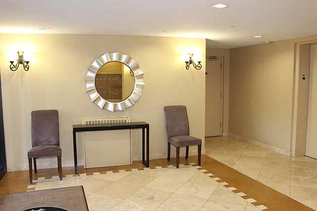 904 Ridge Square, Unit 114 Elk Grove Village, IL 60007 - Photo 3 of 16