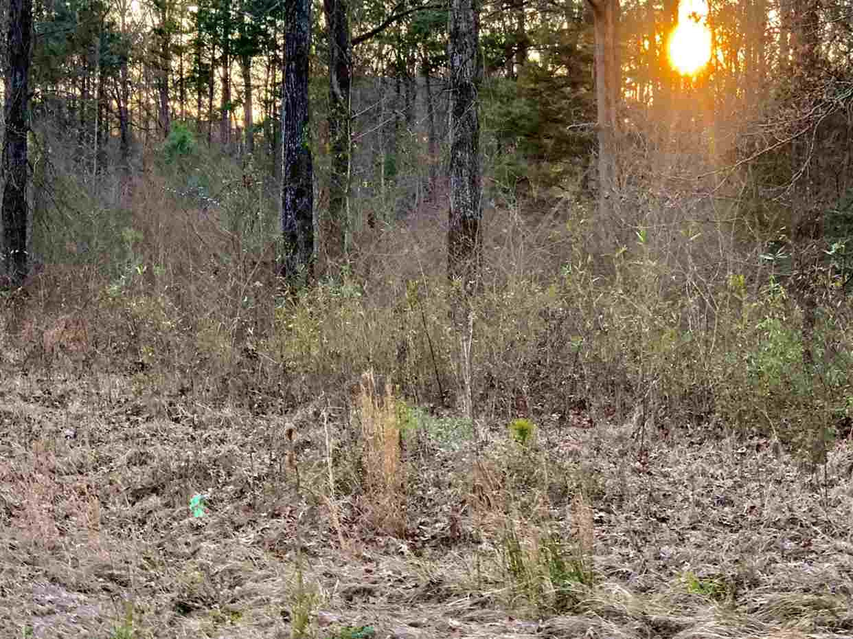 24.68 Tara Road Brandon, MS 39042 - Photo 13 of 14 Photo 14