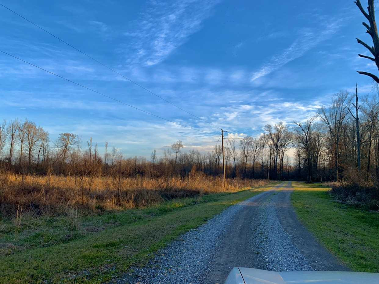 24.68 Tara Road Brandon, MS 39042 - Photo 14 of 14 Photo 15