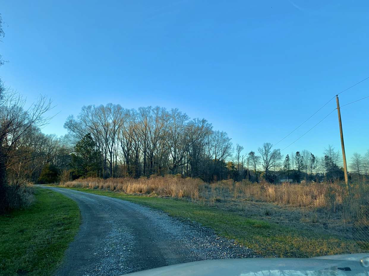 24.68 Tara Road Brandon, MS 39042 - Photo 5 of 14 Photo 5