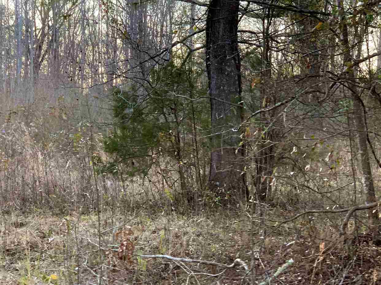 24.68 Tara Road Brandon, MS 39042 - Photo 9 of 14 Photo 10