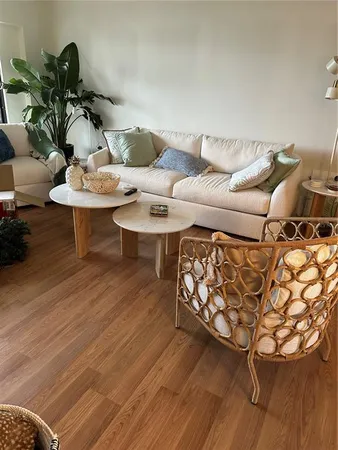 a living room with furniture a rug and a potted plant