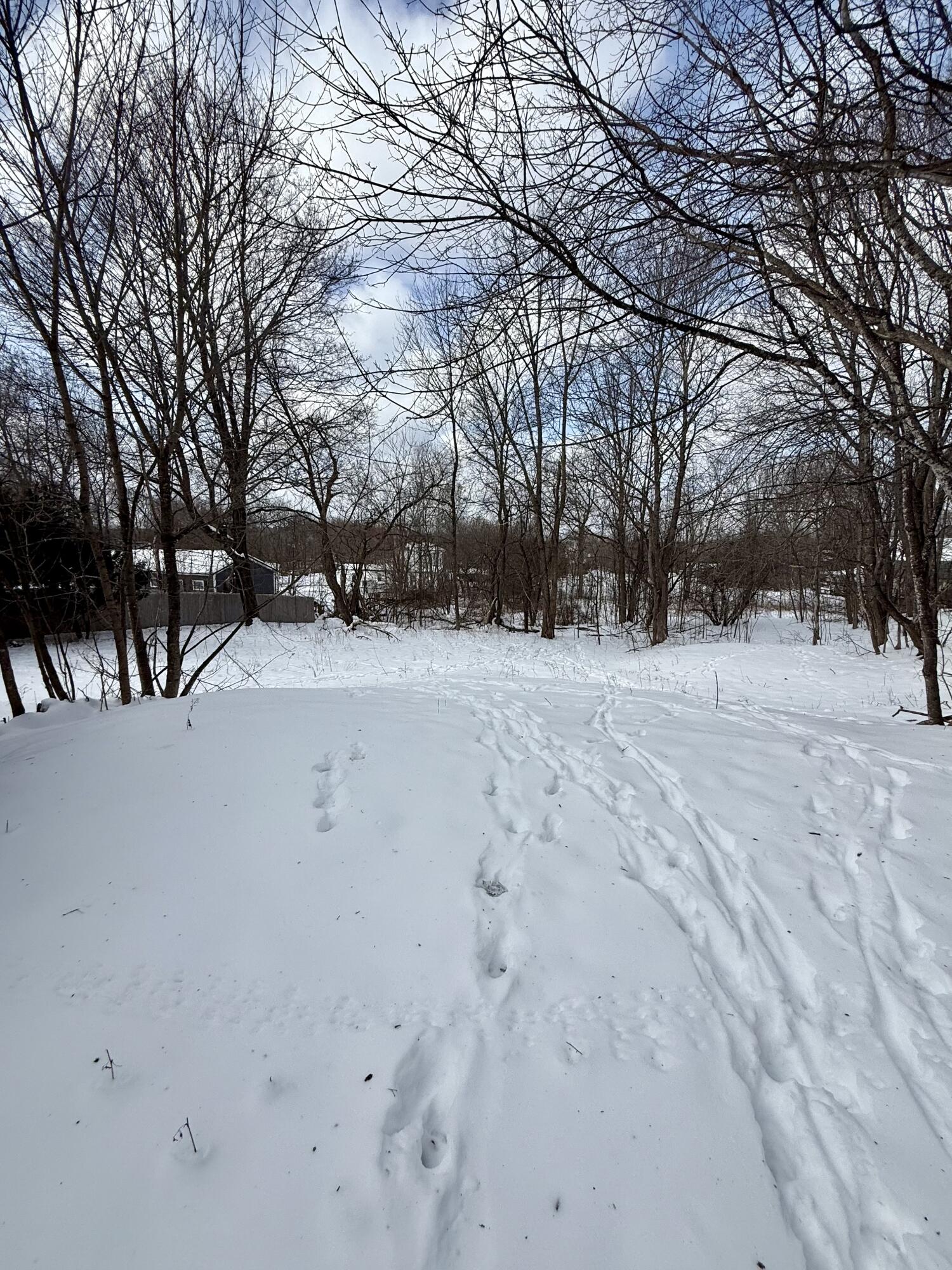 19 Fowler Street Calais, ME 04619 - Photo 8 of 19 IMG_2659