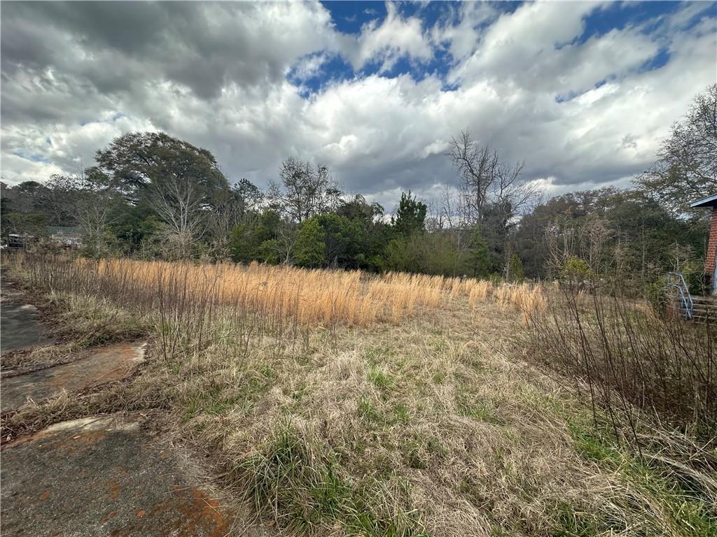 2740 Millerfield Road Macon, GA 31217 - Photo 25 of 28