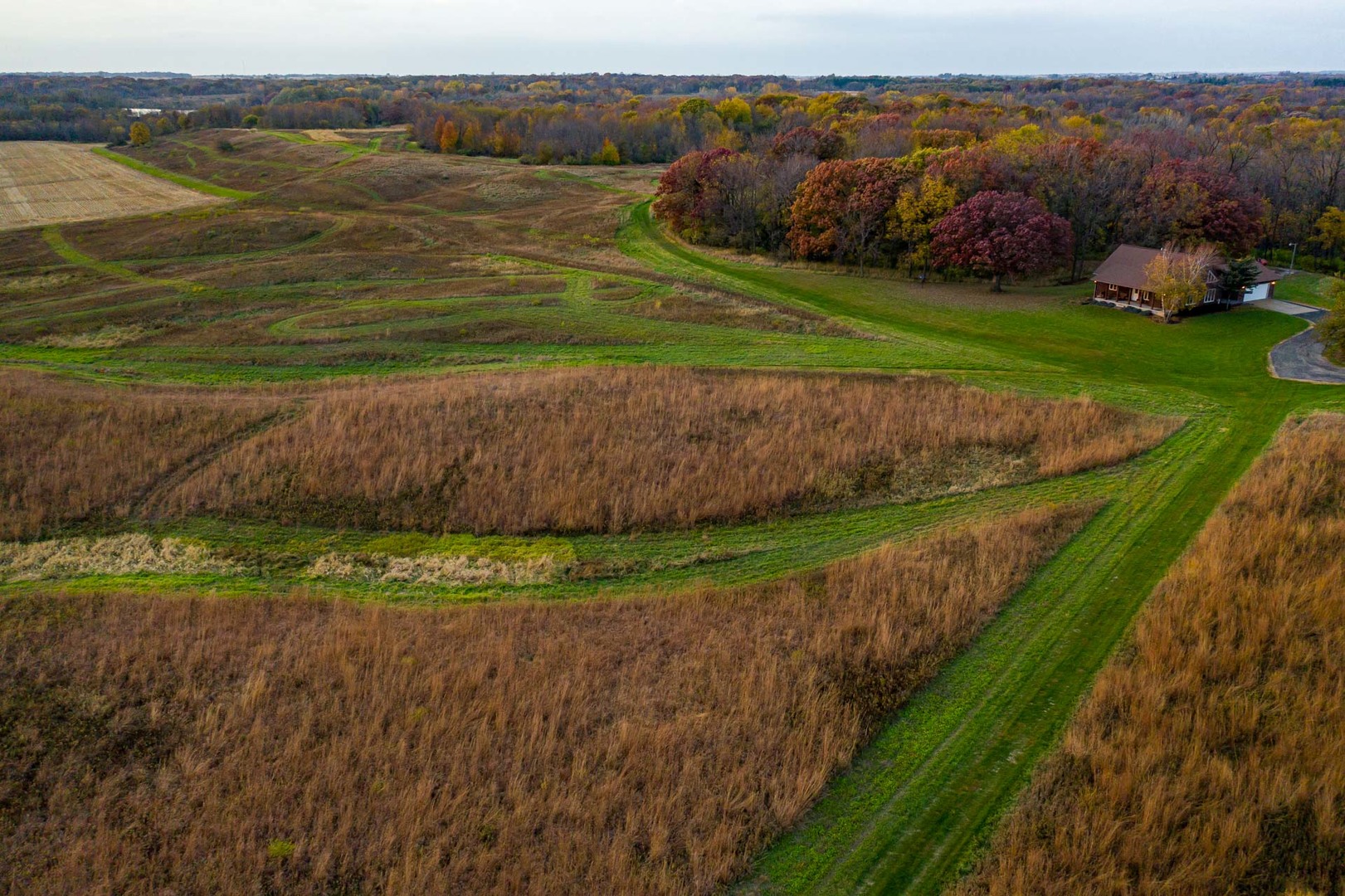 17501 Bishop Road Morrison, IL 61270 - Photo 1 of 167 a view of a yard with an outdoor space