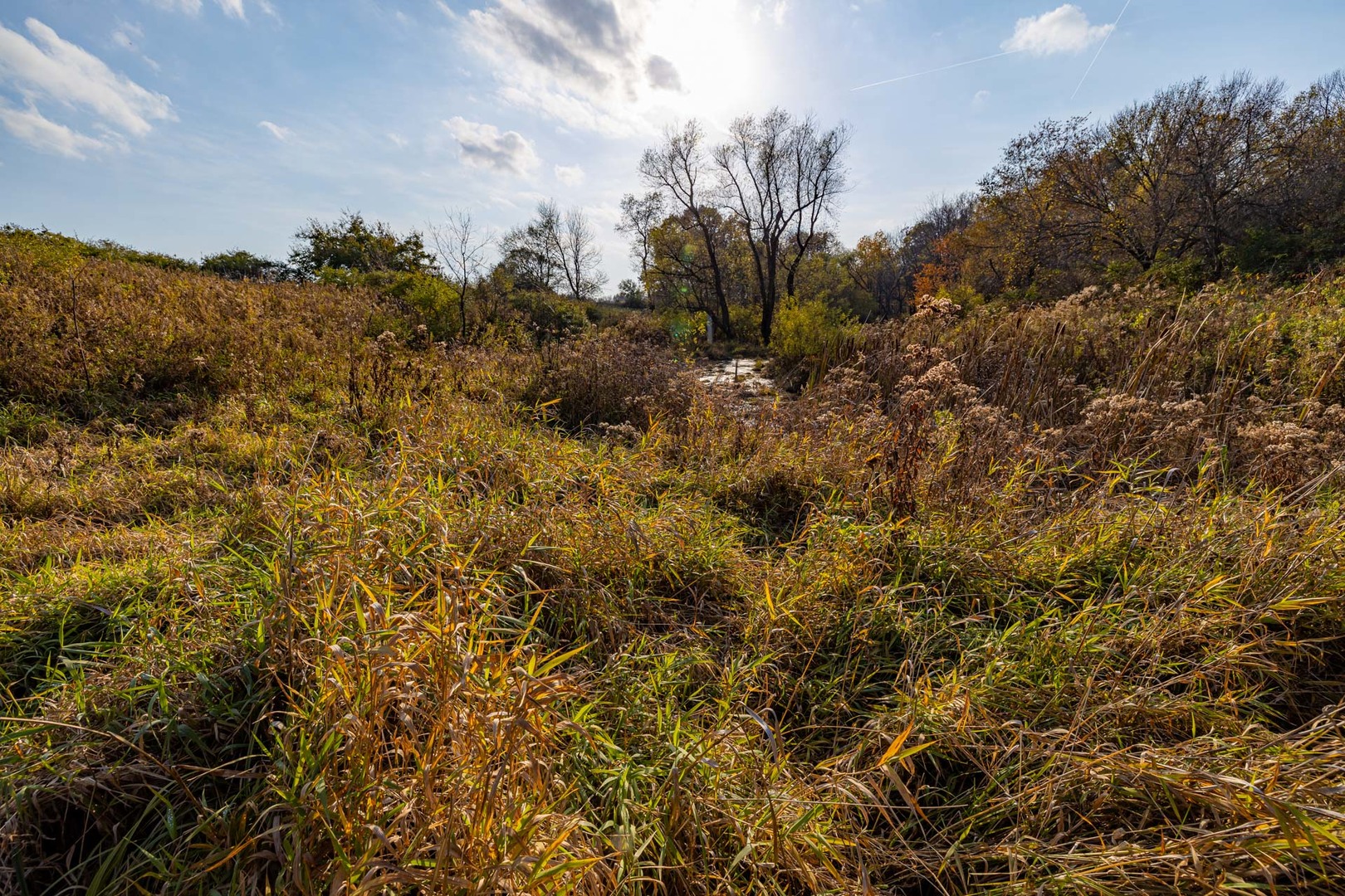 17501 Bishop Road Morrison, IL 61270 - Photo 106 of 167