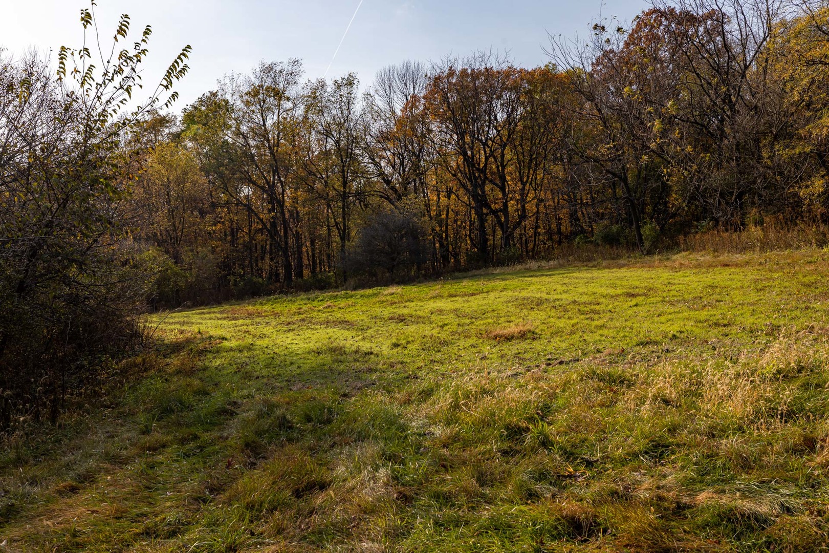 17501 Bishop Road Morrison, IL 61270 - Photo 107 of 167 a view of a yard with a trees