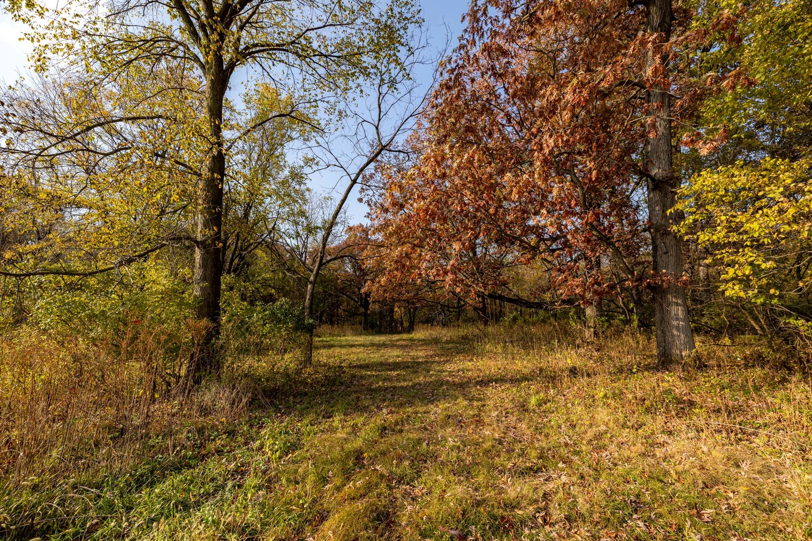 17501 Bishop Road Morrison, IL 61270 - Photo 108 of 167