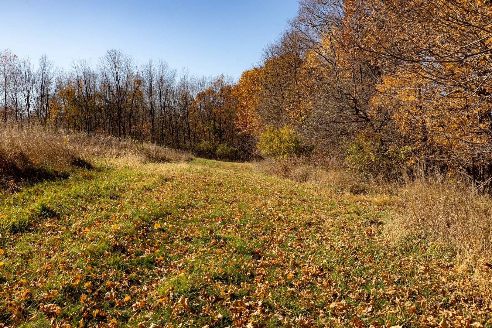 17501 Bishop Road Morrison, IL 61270 - Photo 109 of 167
