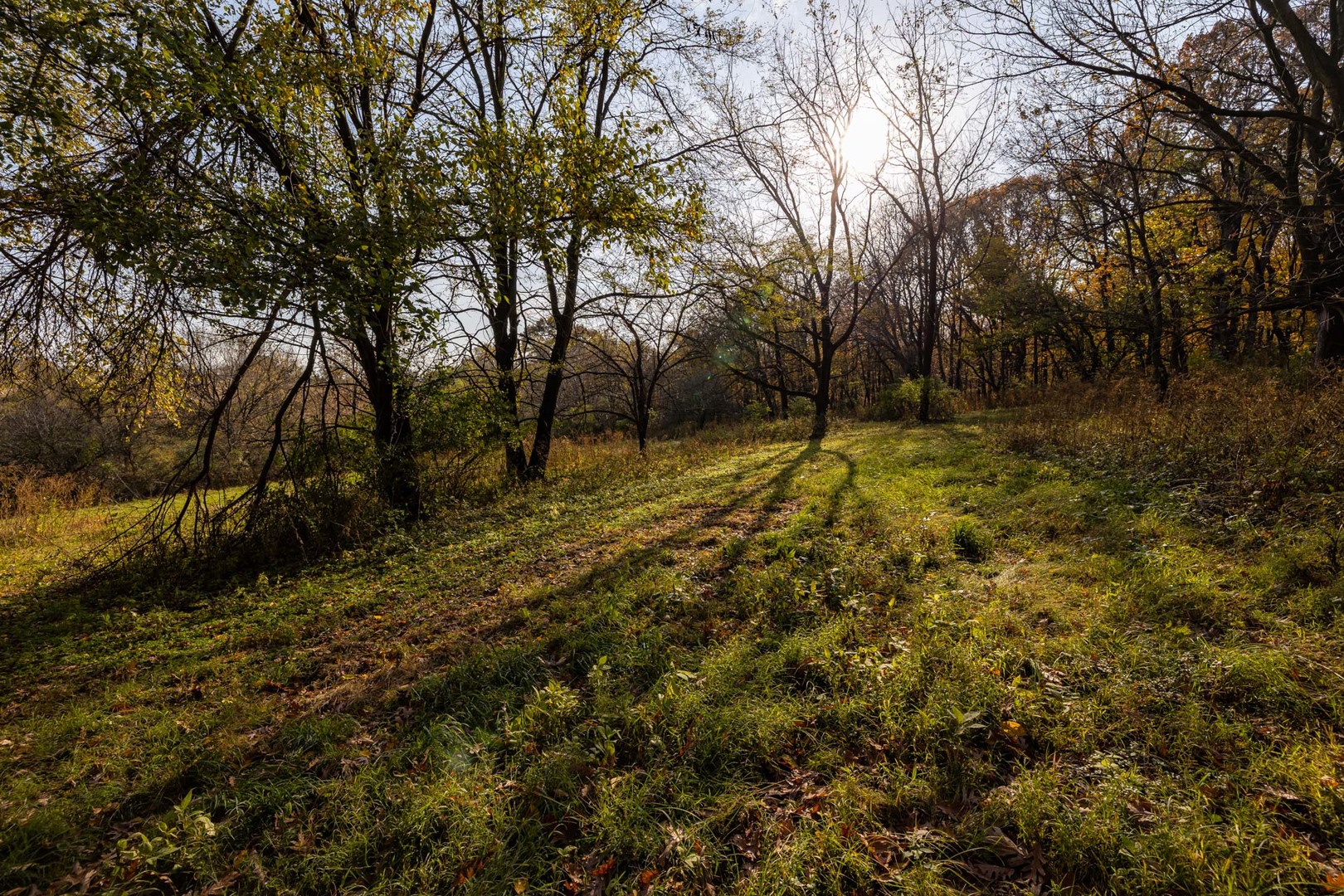17501 Bishop Road Morrison, IL 61270 - Photo 110 of 167