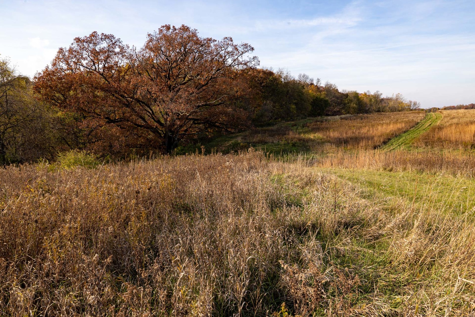 17501 Bishop Road Morrison, IL 61270 - Photo 115 of 167