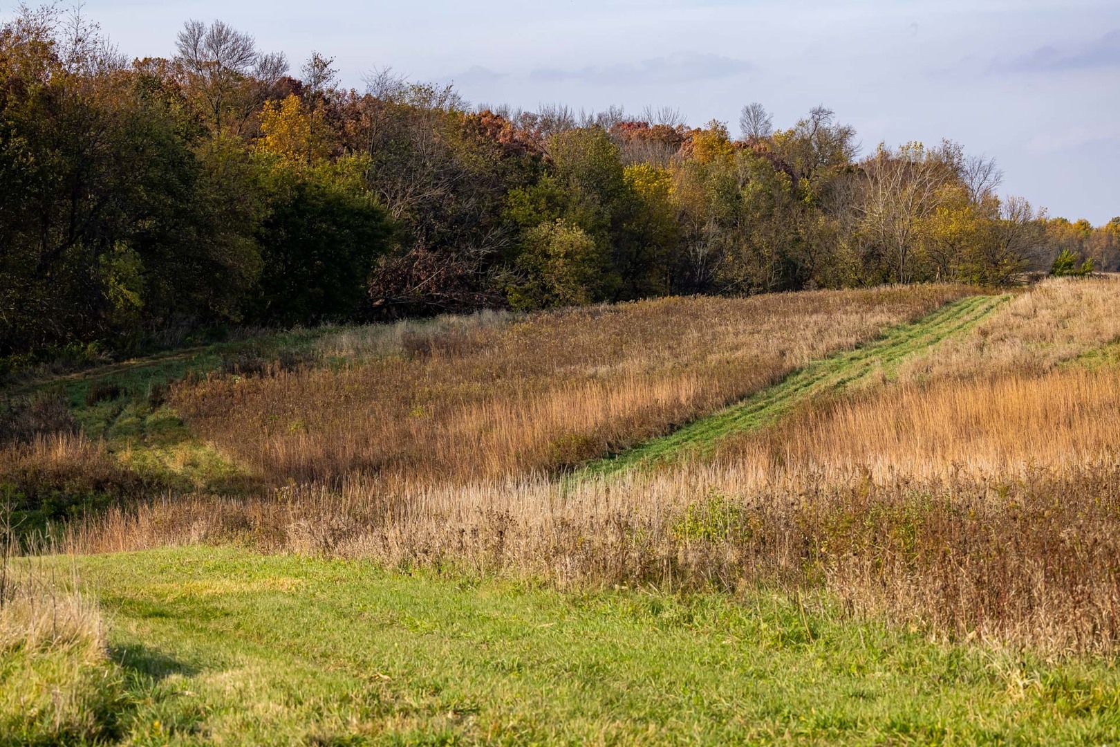 17501 Bishop Road Morrison, IL 61270 - Photo 118 of 167