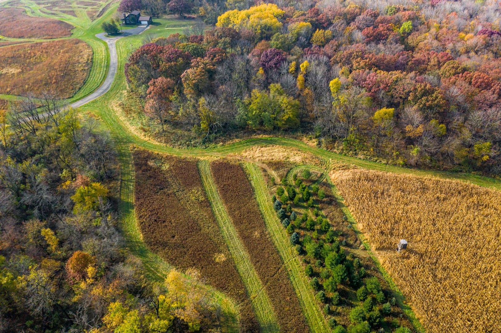 17501 Bishop Road Morrison, IL 61270 - Photo 13 of 167
