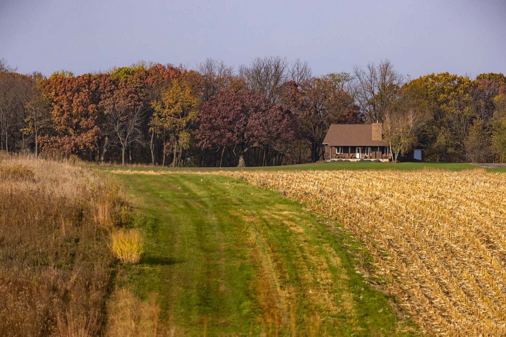 17501 Bishop Road Morrison, IL 61270 - Photo 121 of 167 a view of a yard with a tree