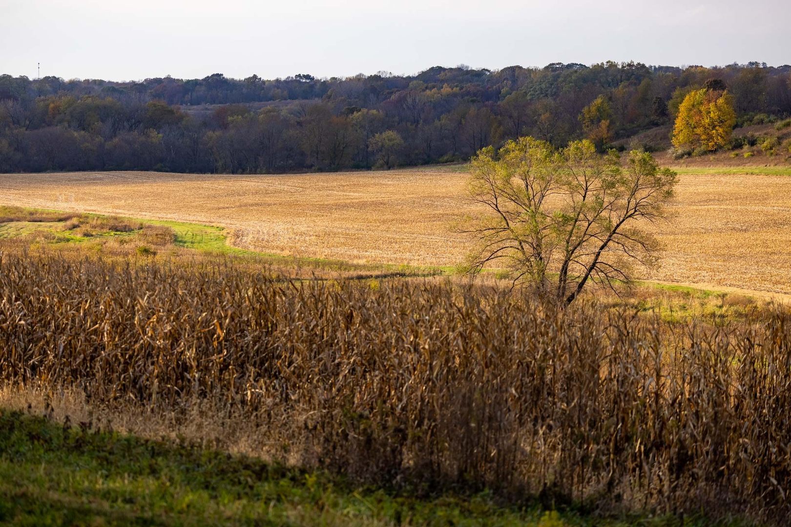 17501 Bishop Road Morrison, IL 61270 - Photo 124 of 167 a view of an outdoor space and mountain view