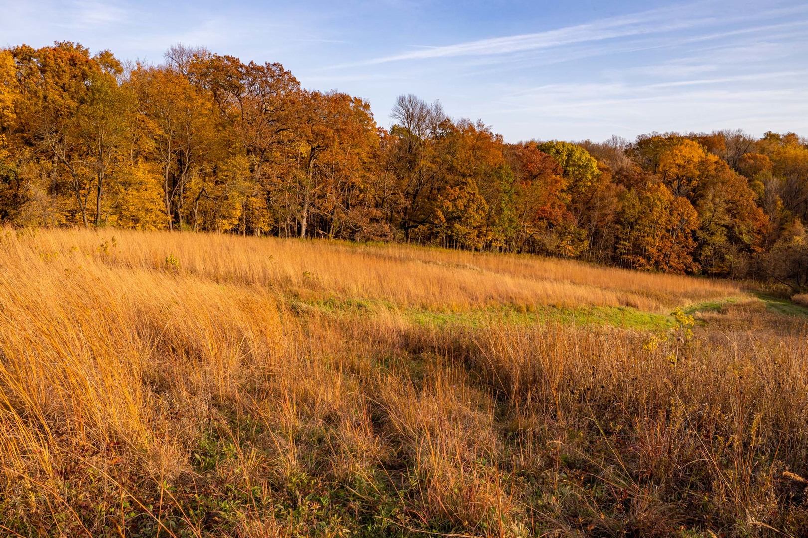 17501 Bishop Road Morrison, IL 61270 - Photo 130 of 167