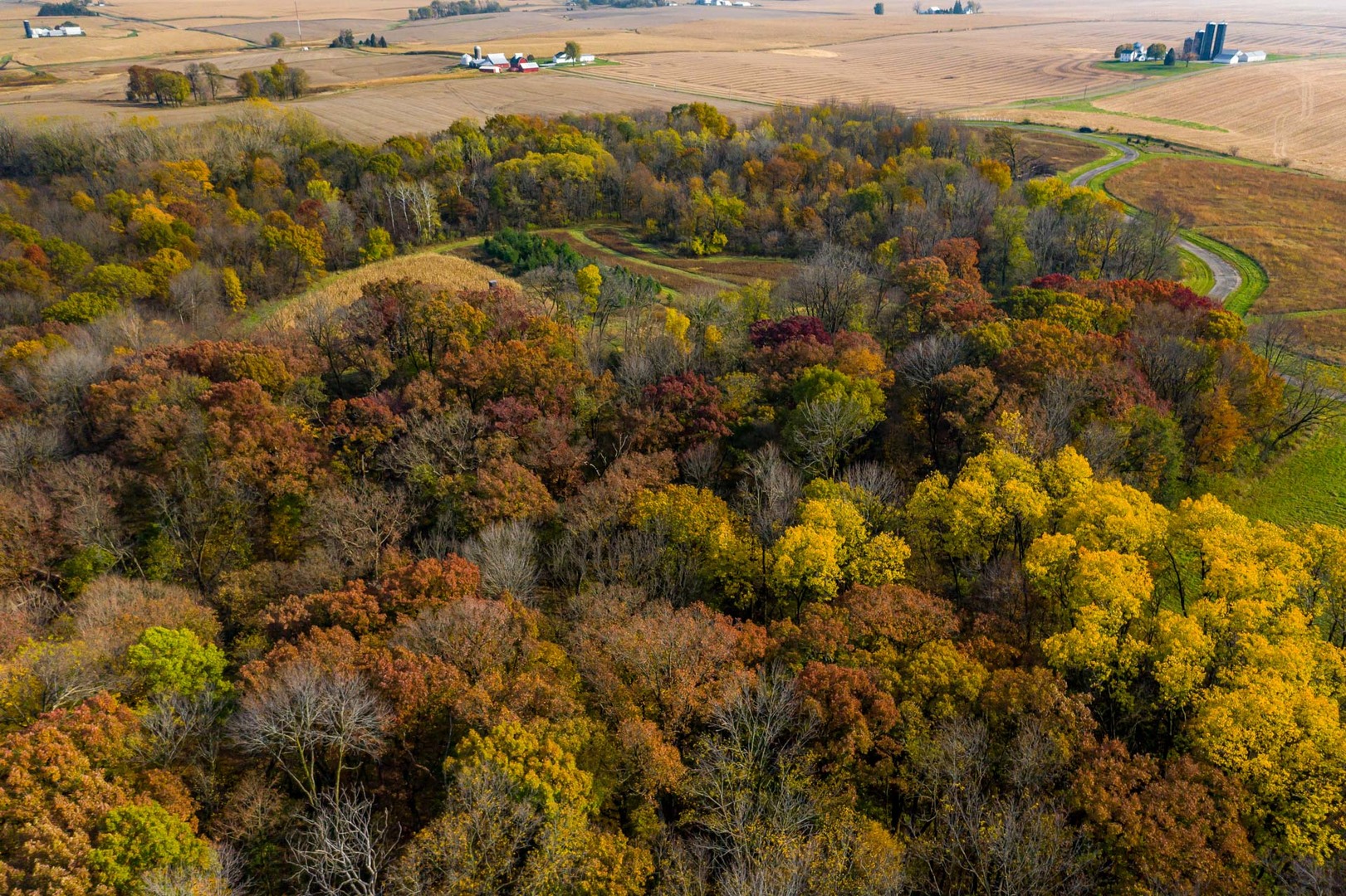 17501 Bishop Road Morrison, IL 61270 - Photo 14 of 167