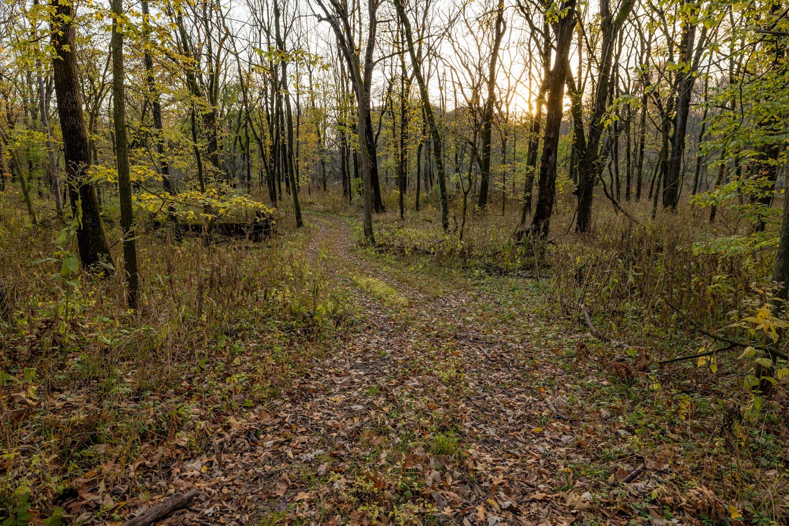 17501 Bishop Road Morrison, IL 61270 - Photo 138 of 167