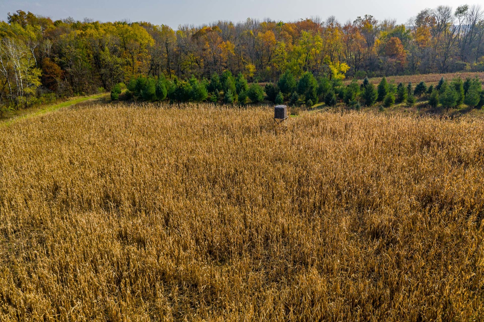 17501 Bishop Road Morrison, IL 61270 - Photo 15 of 167 a view of a lake with trees in the background