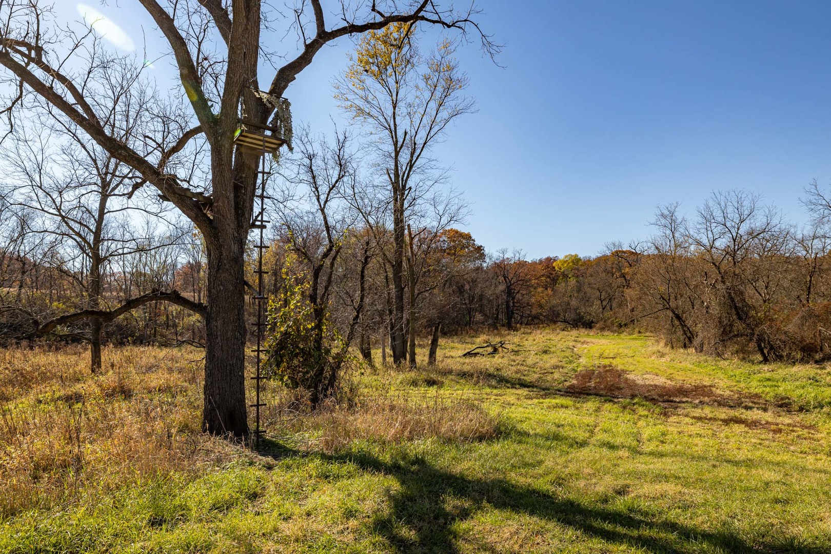 17501 Bishop Road Morrison, IL 61270 - Photo 143 of 167