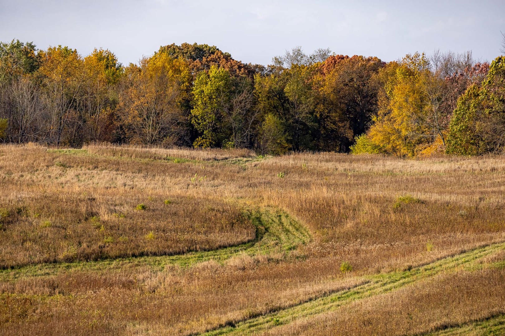 17501 Bishop Road Morrison, IL 61270 - Photo 145 of 167
