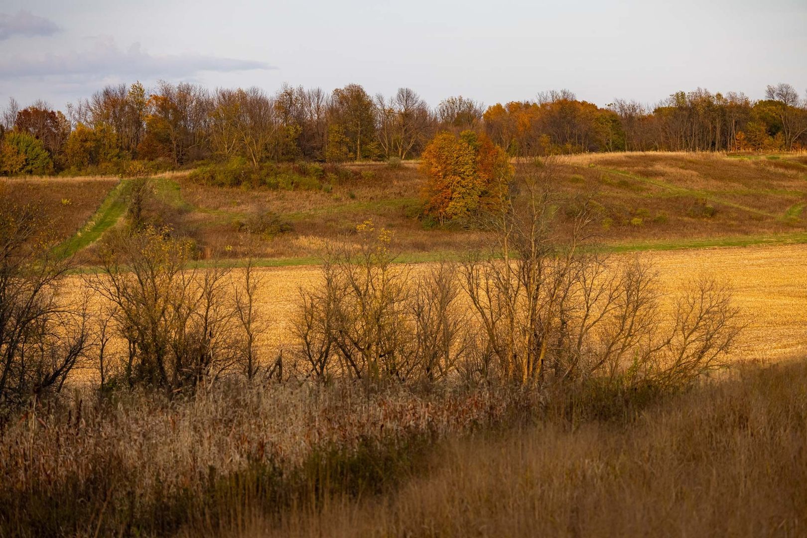 17501 Bishop Road Morrison, IL 61270 - Photo 146 of 167