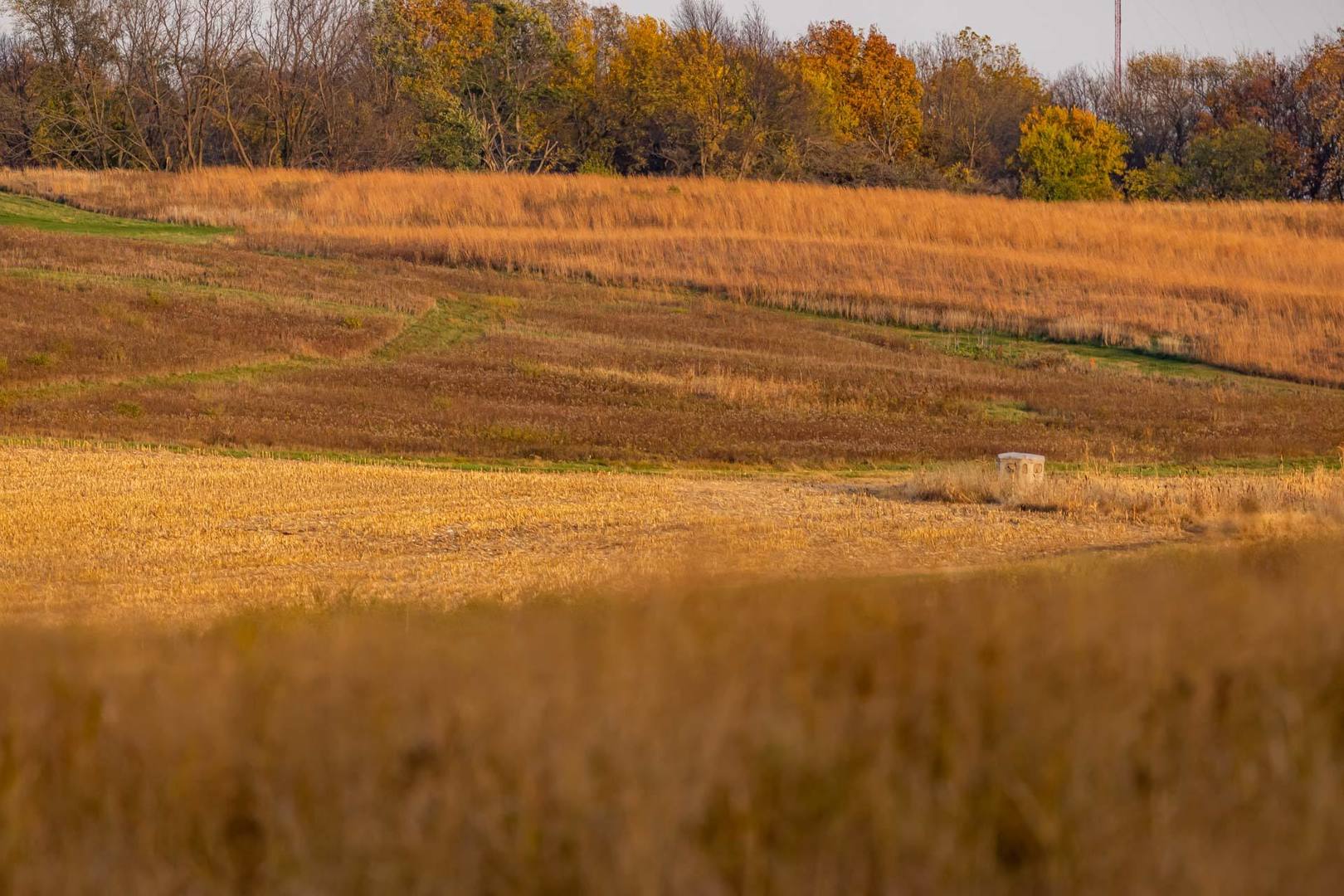 17501 Bishop Road Morrison, IL 61270 - Photo 147 of 167