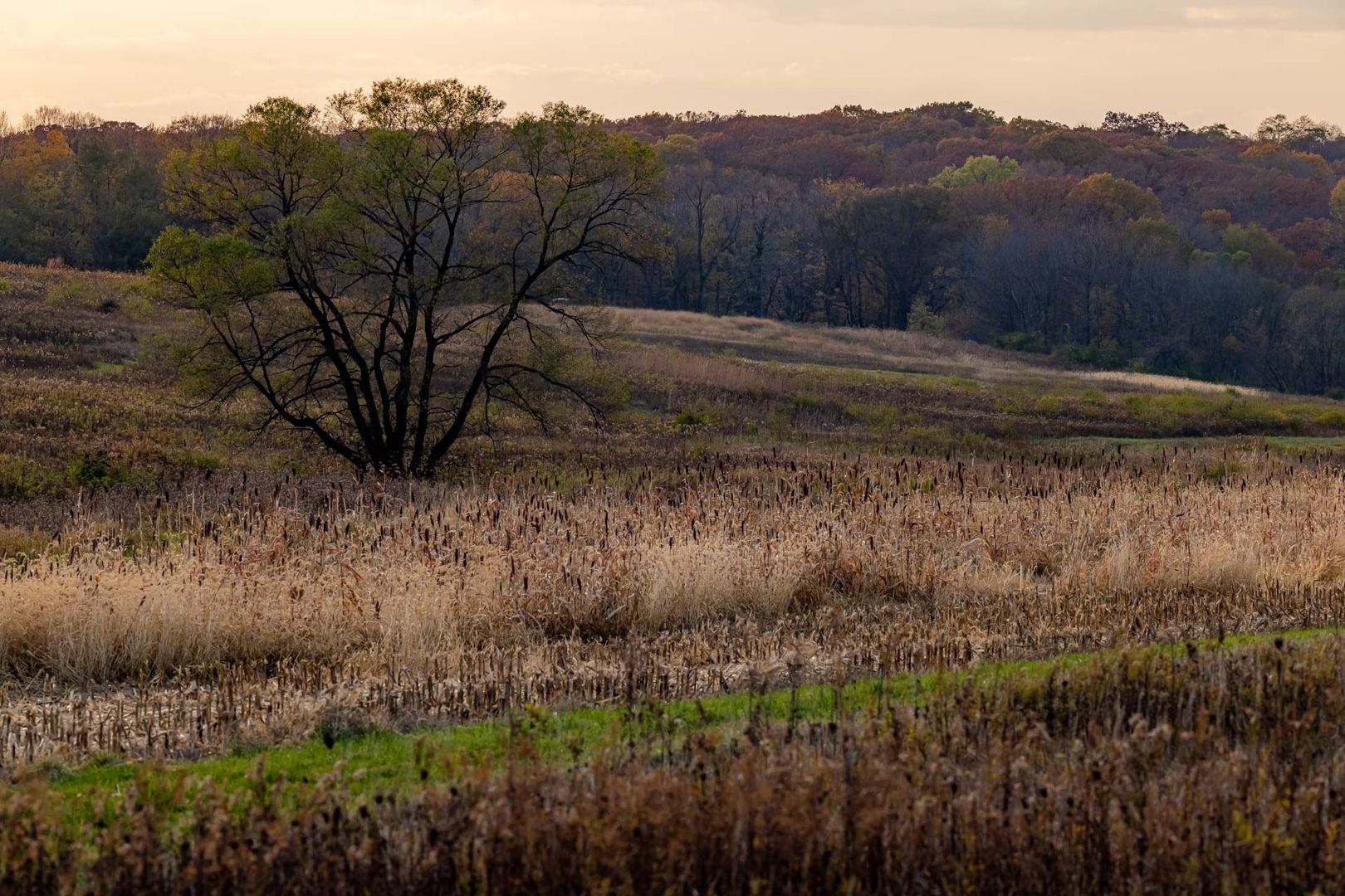 17501 Bishop Road Morrison, IL 61270 - Photo 150 of 167