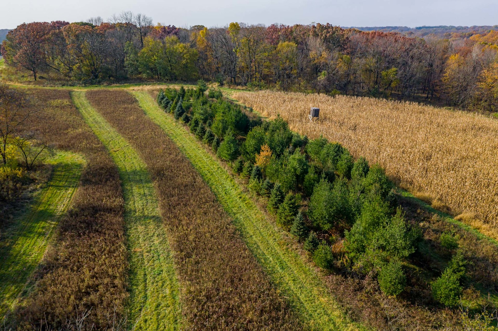 17501 Bishop Road Morrison, IL 61270 - Photo 16 of 167