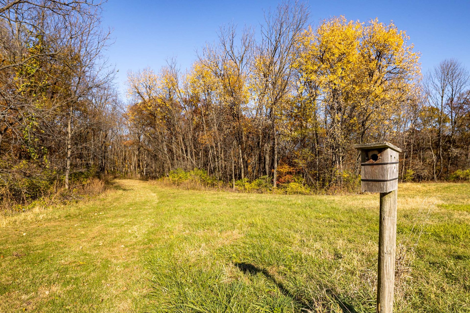 17501 Bishop Road Morrison, IL 61270 - Photo 154 of 167