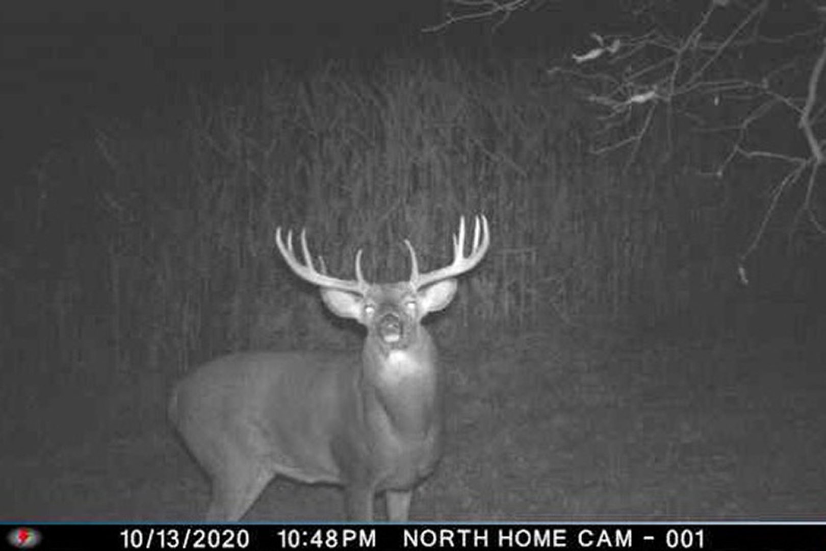 17501 Bishop Road Morrison, IL 61270 - Photo 158 of 167