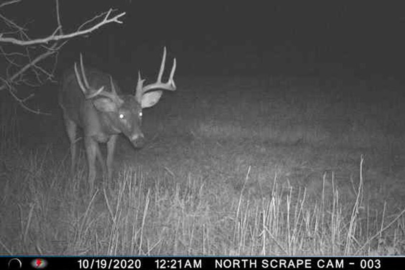 17501 Bishop Road Morrison, IL 61270 - Photo 159 of 167