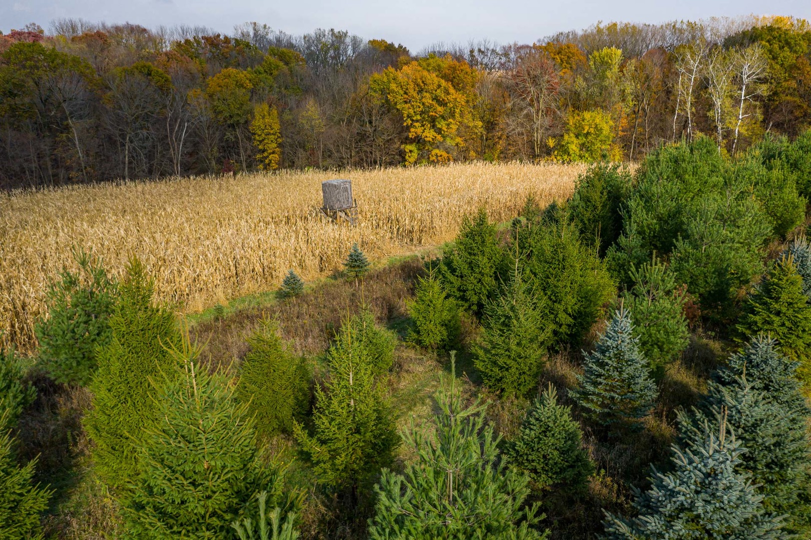 17501 Bishop Road Morrison, IL 61270 - Photo 18 of 167 a view of mountain view with mountains in the background