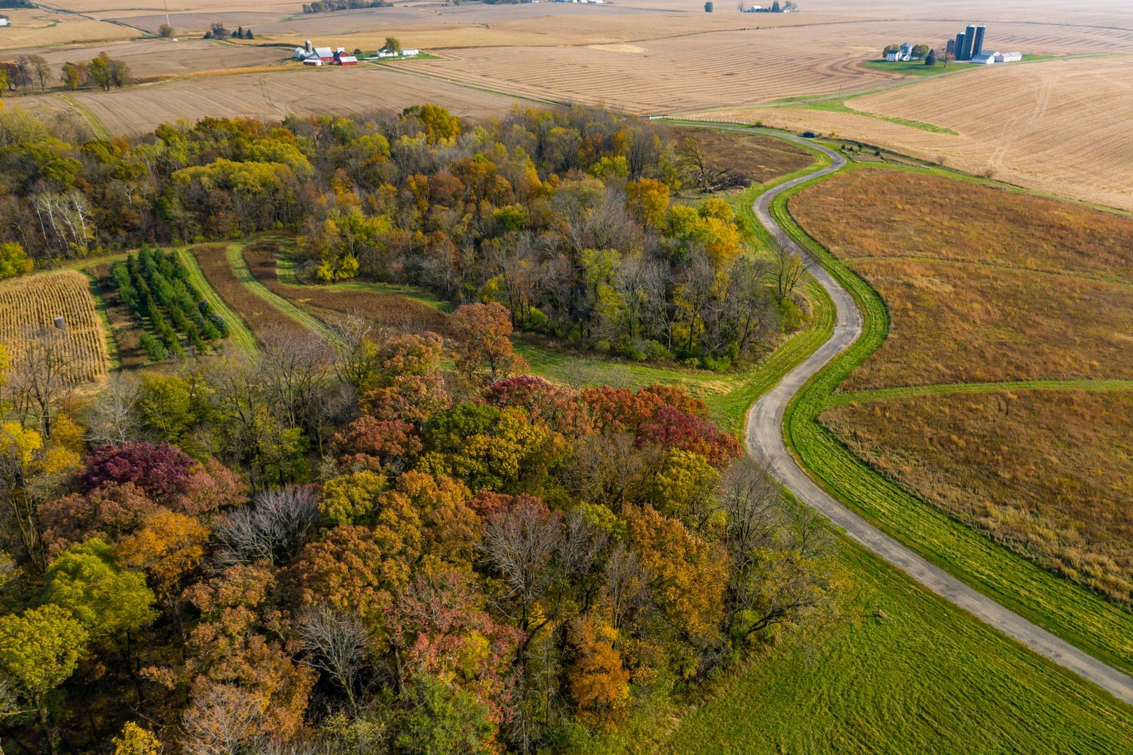 17501 Bishop Road Morrison, IL 61270 - Photo 4 of 167