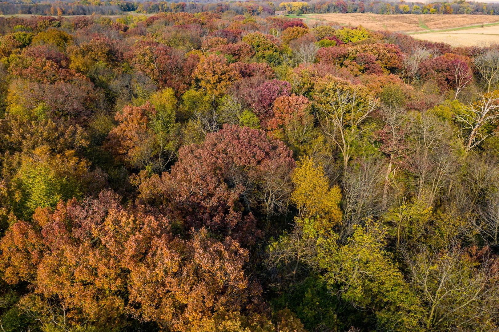 17501 Bishop Road Morrison, IL 61270 - Photo 33 of 167
