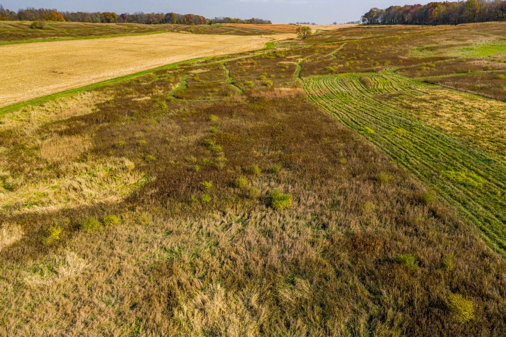 17501 Bishop Road Morrison, IL 61270 - Photo 40 of 167